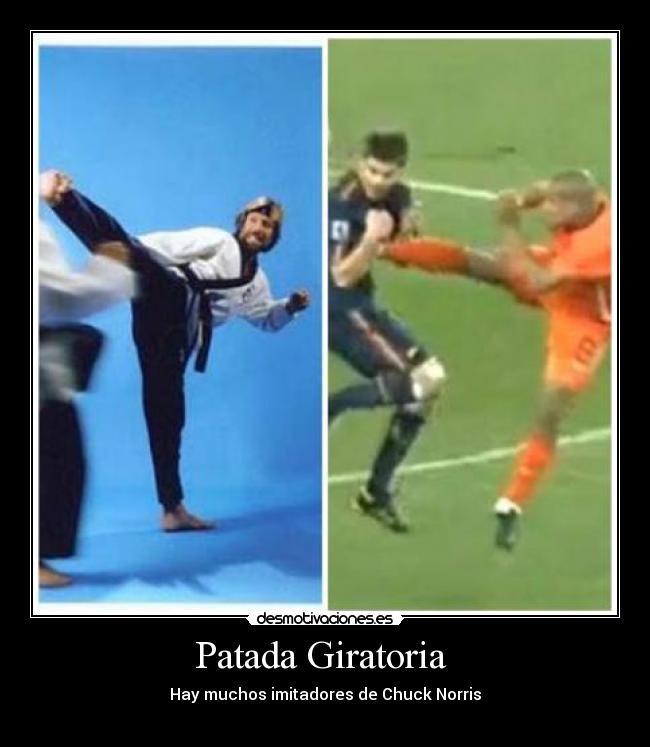 Patada Giratoria -