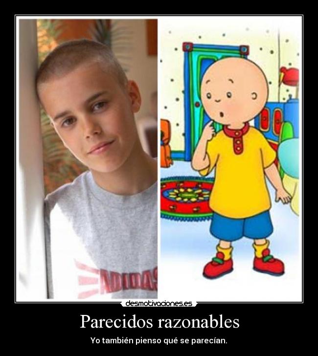 Parecidos razonables -