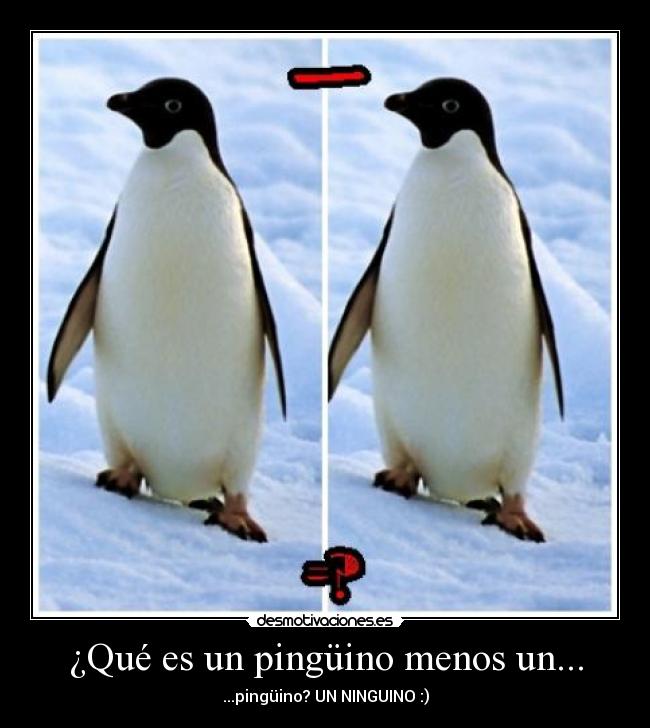 carteles pinguino desmotivaciones