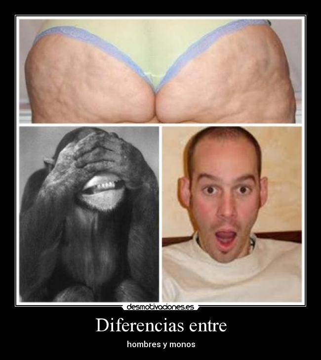Diferencias entre -