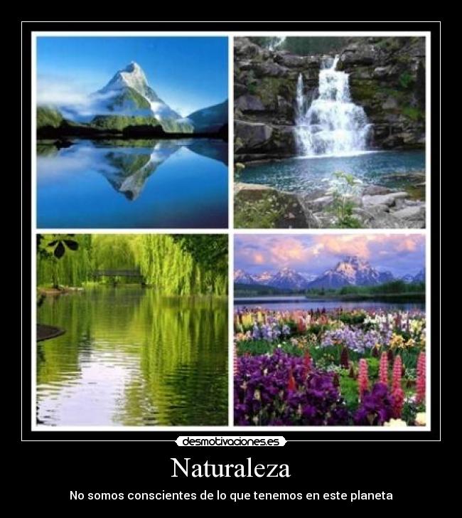 Naturaleza - 