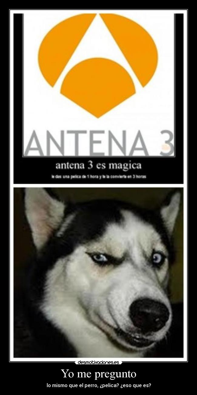 Yo me pregunto - lo mismo que el perro, ¿pelica? ¿eso que es?