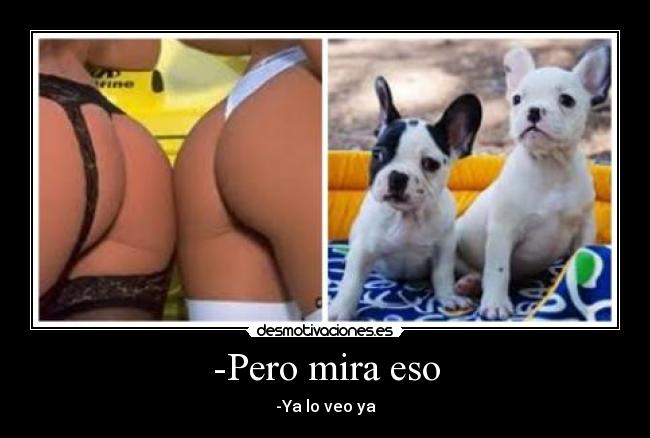 -Pero mira eso -