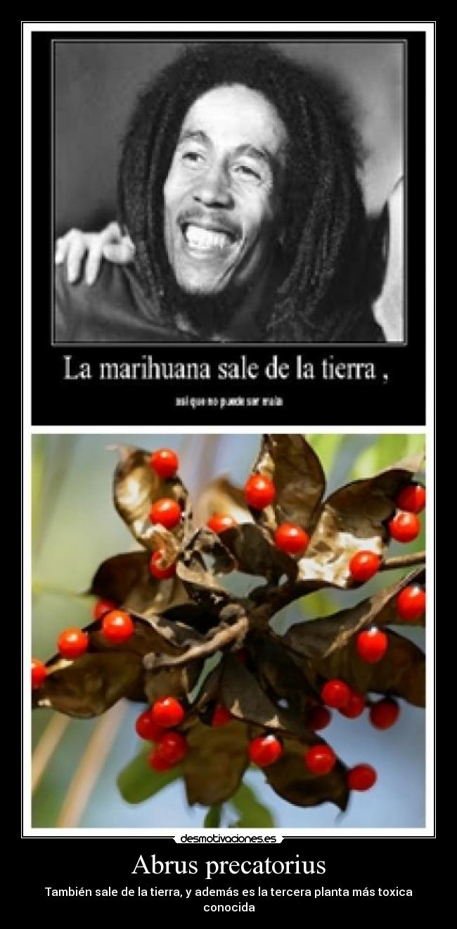 carteles marihuana tierra desmotivaciones