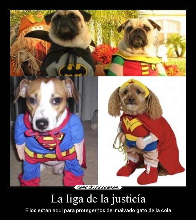 La liga de la justicía - Ellos estan aqui para protegernos del malvado gato de la cola