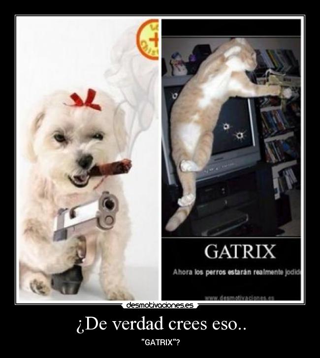 ¿De verdad crees eso.. -