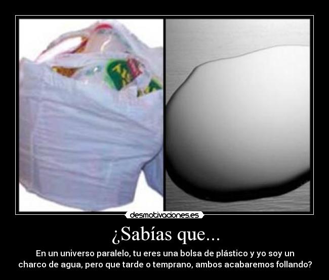 ¿Sabías que... - En un universo paralelo, tu eres una bolsa de plástico y yo soy un
charco de agua, pero que tarde o temprano, ambos acabaremos follando?
