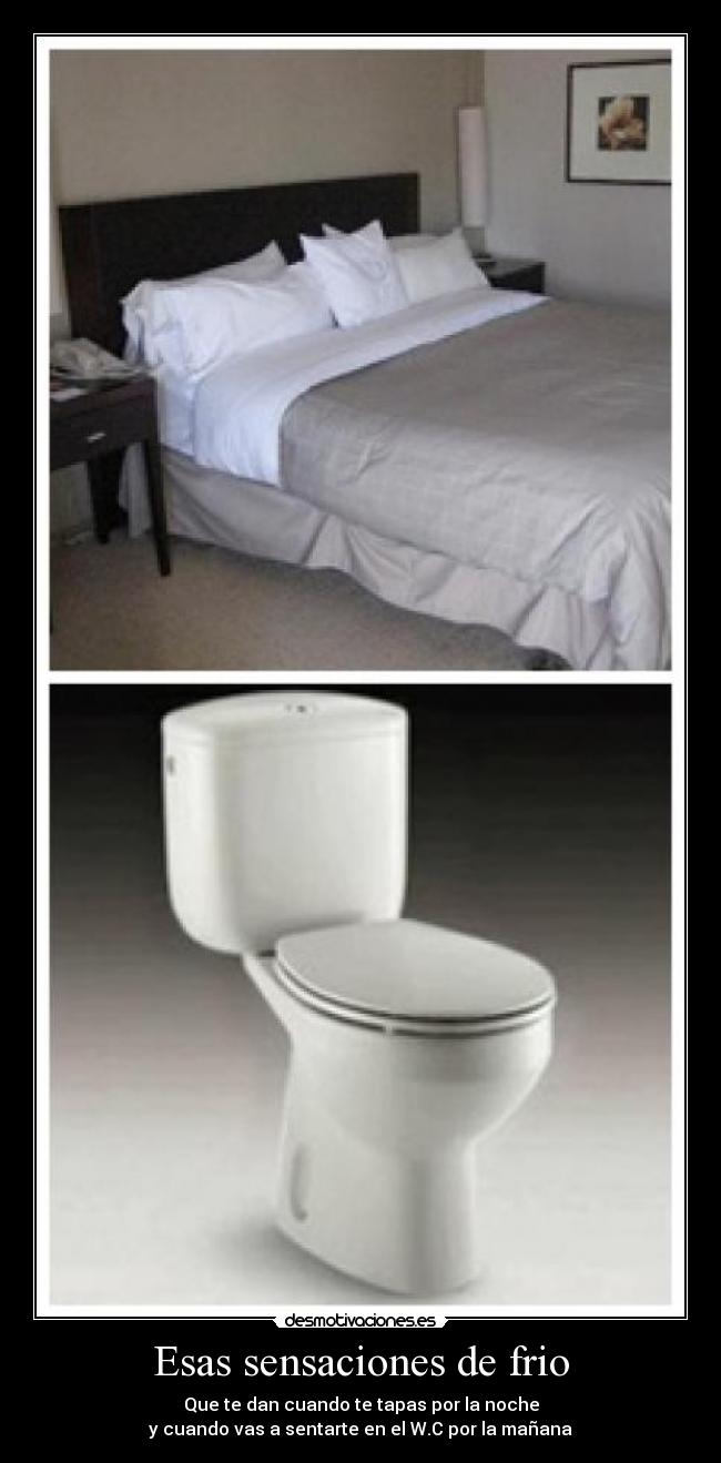 Esas sensaciones de frio - Que te dan cuando te tapas por la noche
y cuando vas a sentarte en el W.C por la mañana