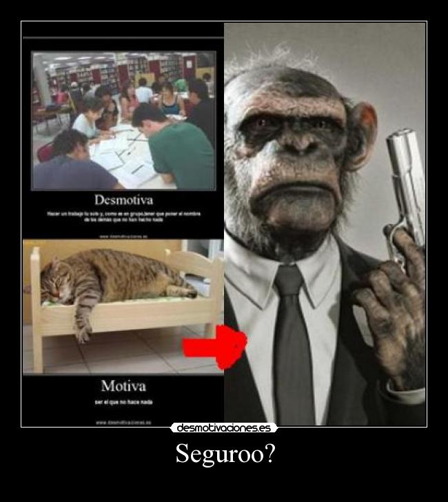 Seguroo? - 
