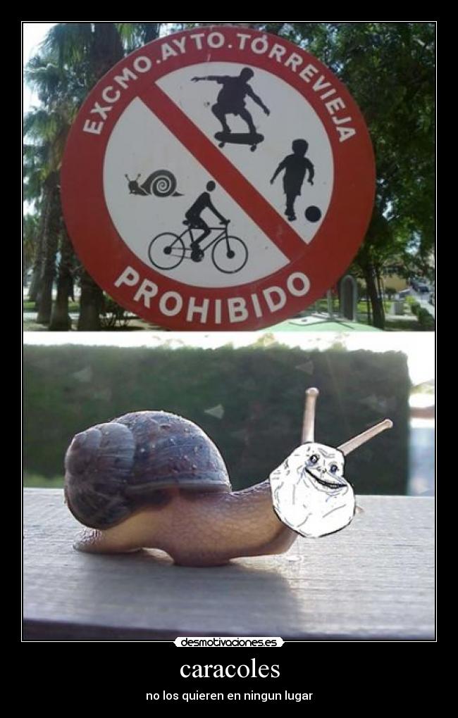 carteles funny pics desmotivaciones