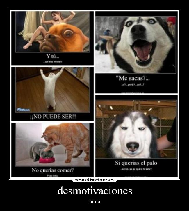 desmotivaciones -