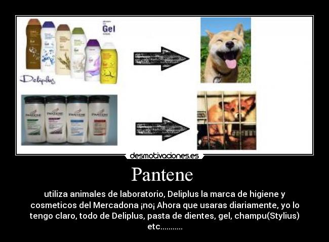 Pantene  - 