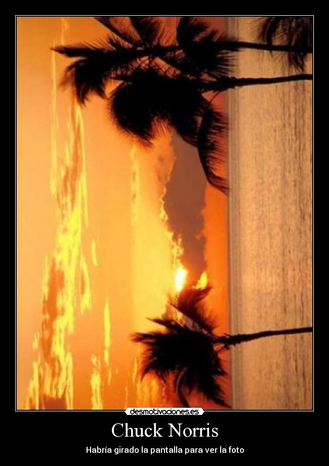 Chuck Norris - Habría girado la pantalla para ver la foto