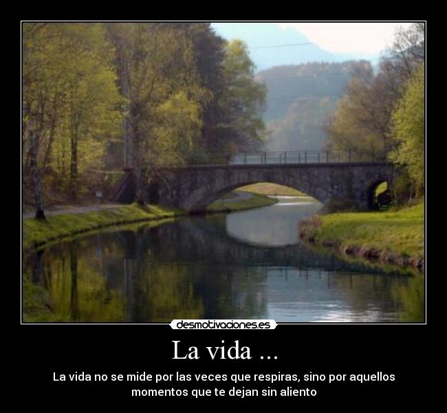 La vida ... -