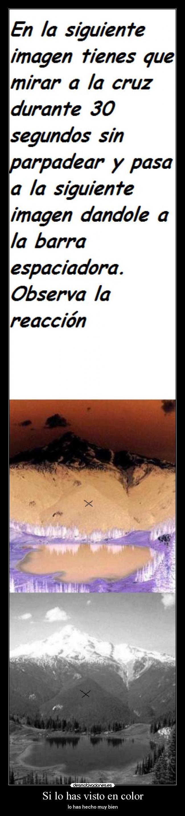 Si lo has visto en color - lo has hecho muy bien