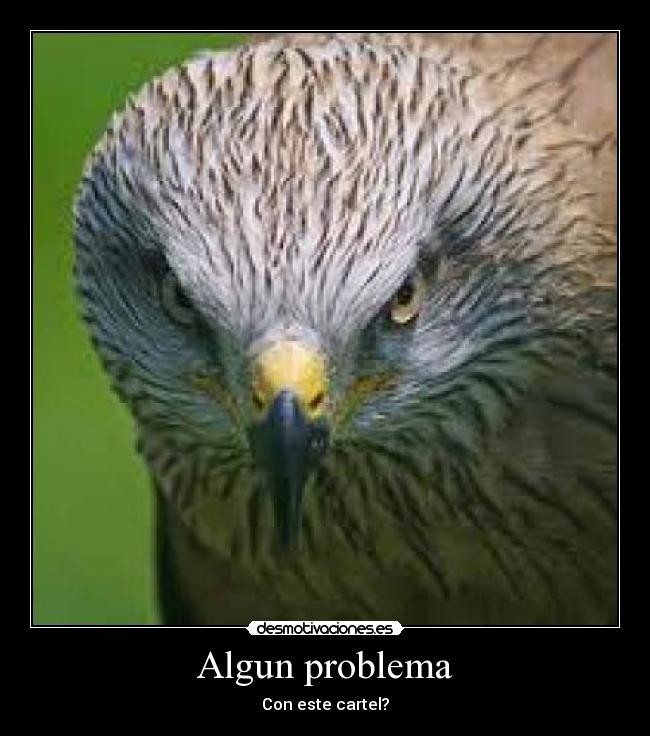 Algun problema - 