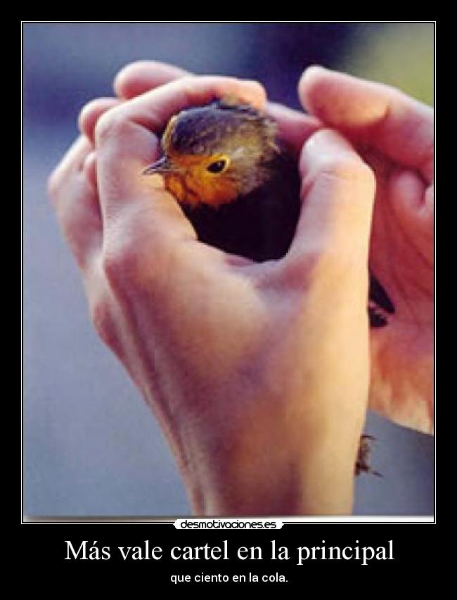 Más vale cartel en la principal - 