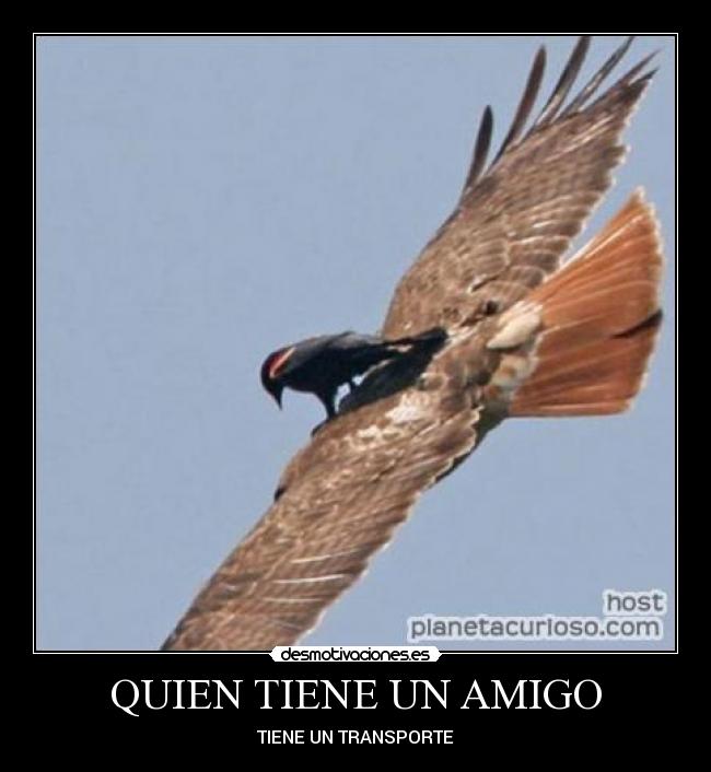 QUIEN TIENE UN AMIGO - TIENE UN TRANSPORTE
