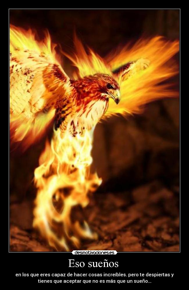 Eso sueños - en los que eres capaz de hacer cosas increíbles. pero te despiertas y
tienes que aceptar que no es más que un sueño...
