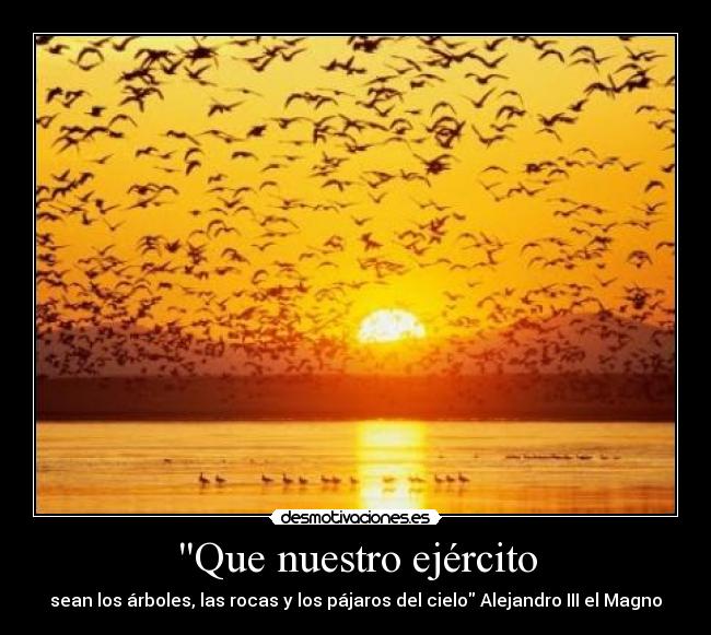 Que nuestro ejército - sean los árboles, las rocas y los pájaros del cielo Alejandro III el Magno