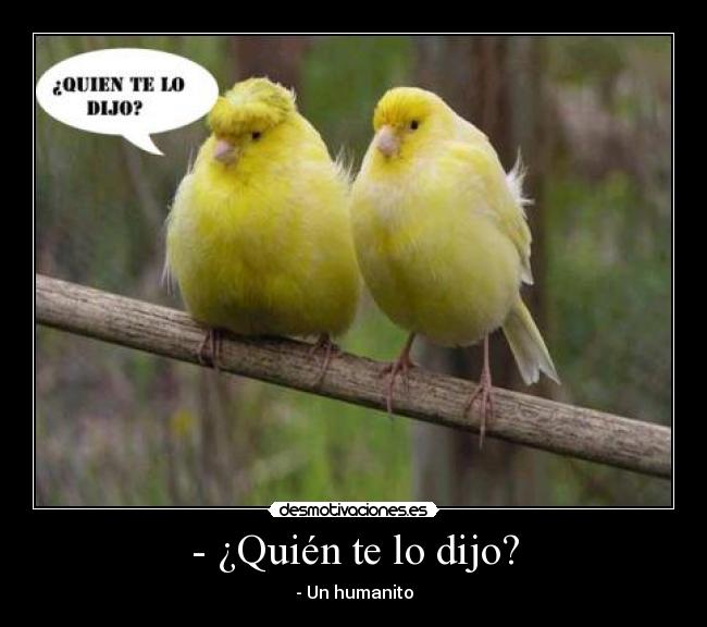 - ¿Quién te lo dijo? -