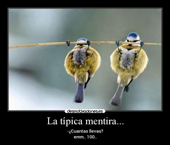 La típica mentira... - 