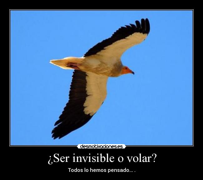 ¿Ser invisible o volar? - Todos lo hemos pensado... .