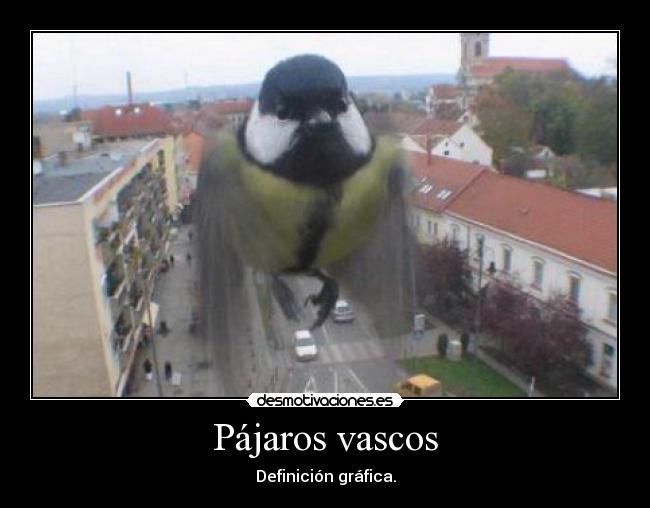 Pájaros vascos - 