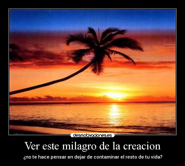 Ver este milagro de la creacion - ¿no te hace pensar en dejar de contaminar el resto de tu vida?