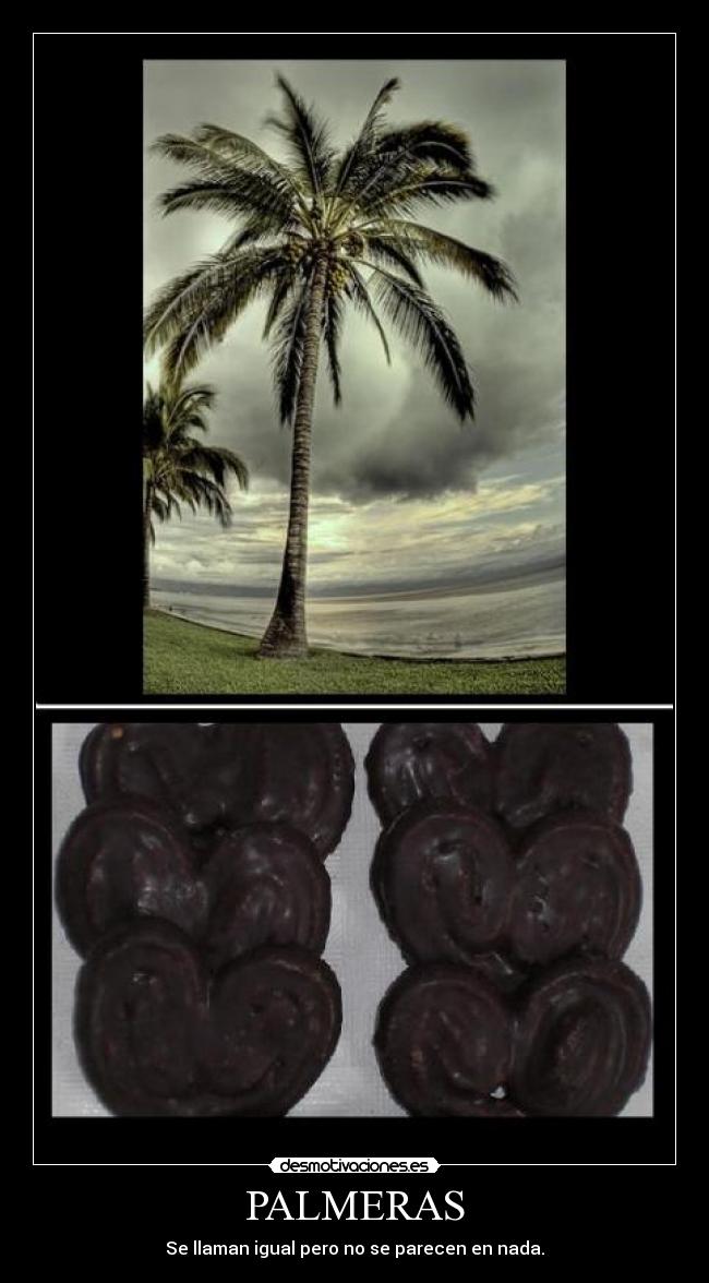 carteles palmeraempalmadojajajacieloaidatelecincoviendoparamountcomedytuputamadre desmotivaciones