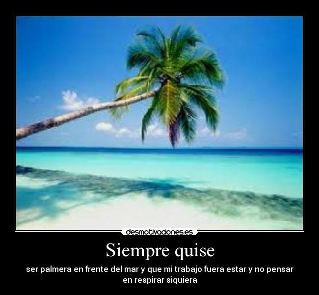 Siempre quise -