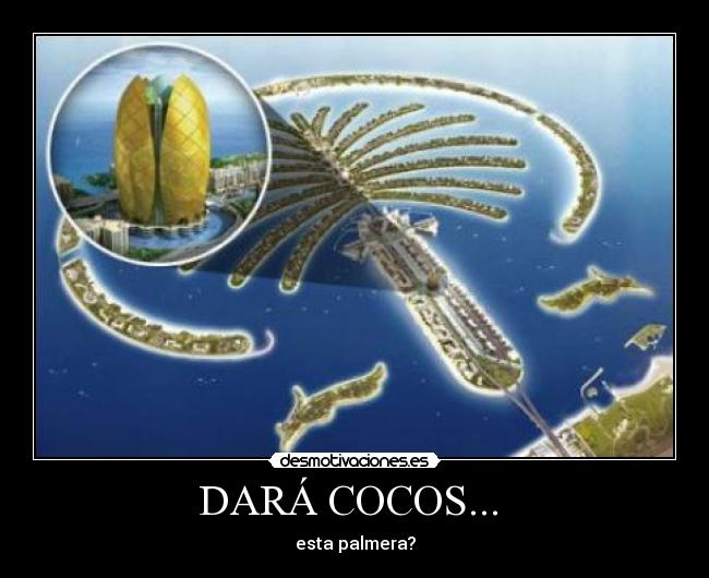 DARÁ COCOS...  - 