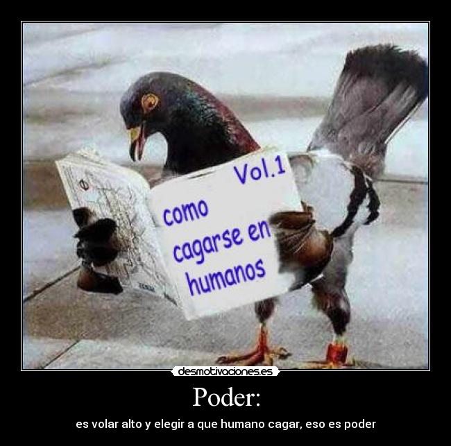 Poder: - es volar alto y elegir a que humano cagar, eso es poder