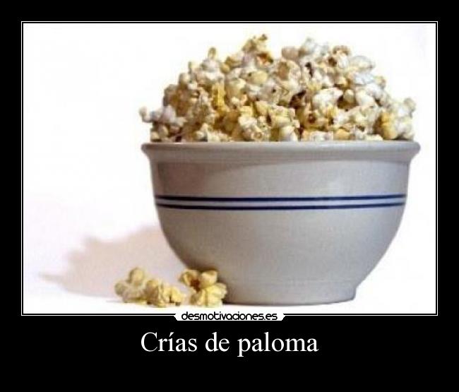 Crías de paloma -