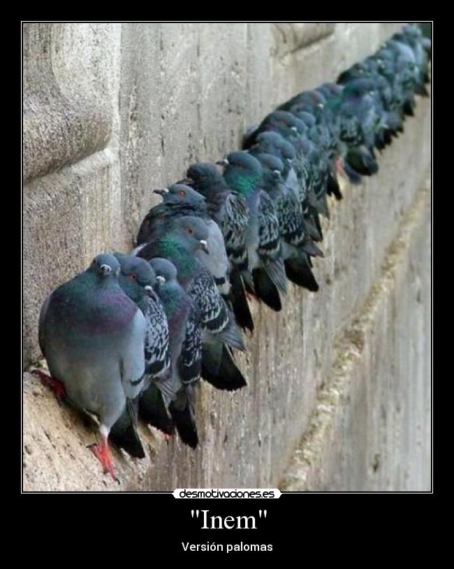 Inem - Versión palomas
