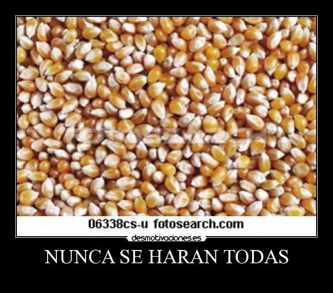 NUNCA SE HARAN TODAS -