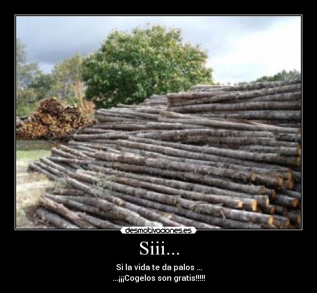 Siii... - Si la vida te da palos ...
...¡¡¡Cogelos son gratis!!!!!