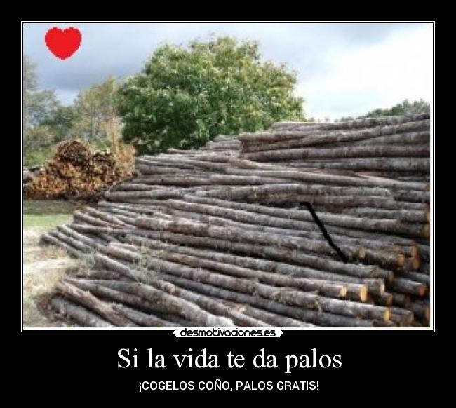 Si la vida te da palos - ¡COGELOS COÑO, PALOS GRATIS!