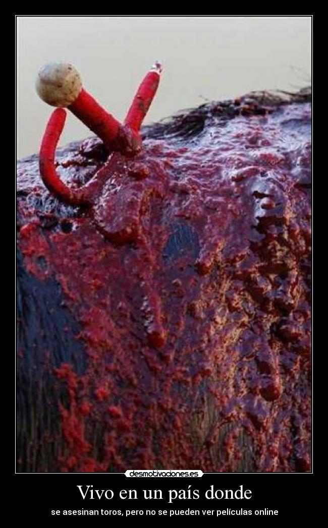 Vivo en un país donde - se asesinan toros, pero no se pueden ver películas online