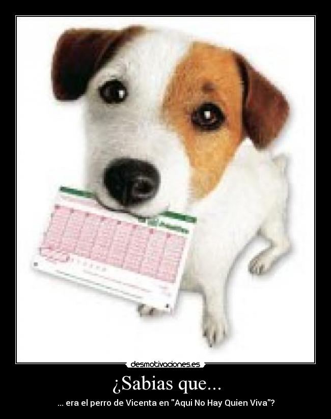 ¿Sabias que... - ... era el perro de Vicenta en Aqui No Hay Quien Viva?
