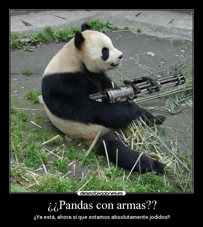 ¿¿Pandas con armas?? - ¡¡Ya está, ahora sí que estamos absolutamente jodidos!!