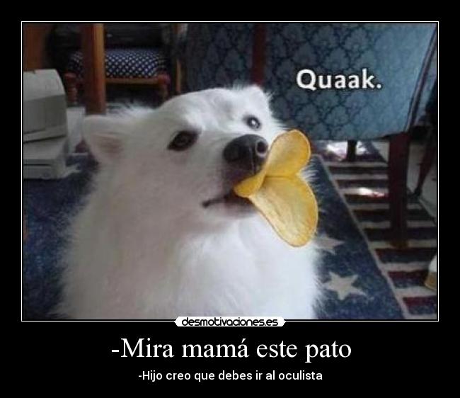 -Mira mamá este pato -