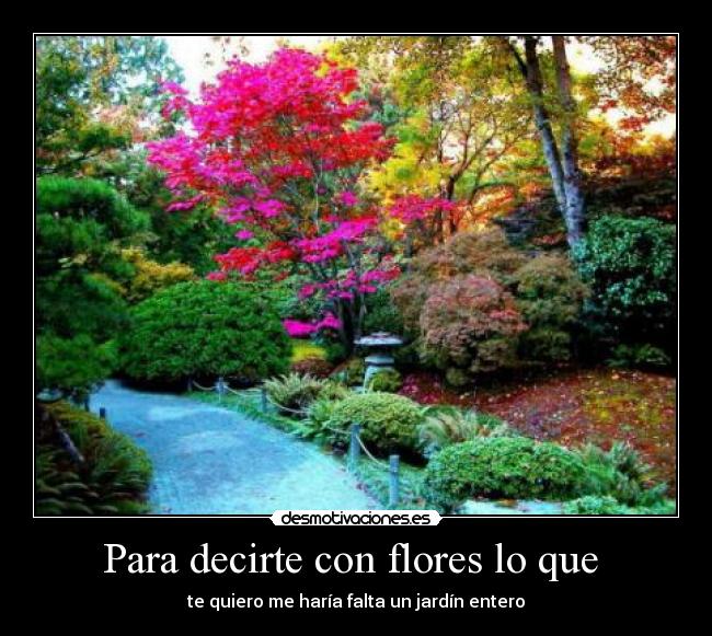 Para decirte con flores lo que -