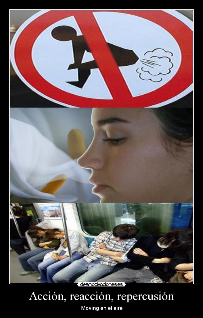 Acción, reacción, repercusión -