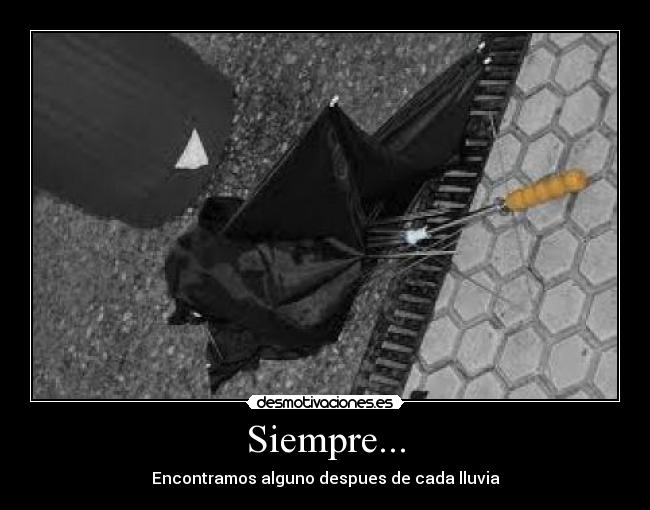 Siempre... - Encontramos alguno despues de cada lluvia
