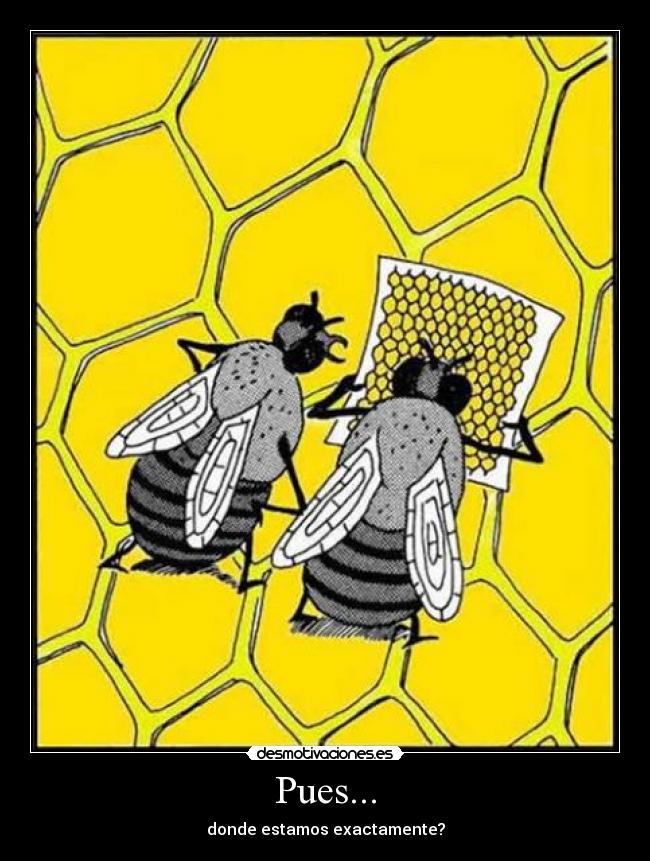Pues... - donde estamos exactamente?