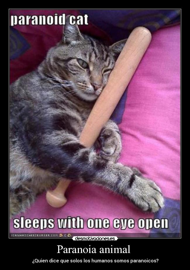 Paranoia animal  - 