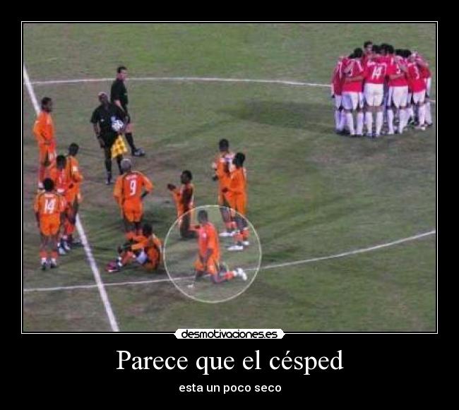 Parece que el césped -