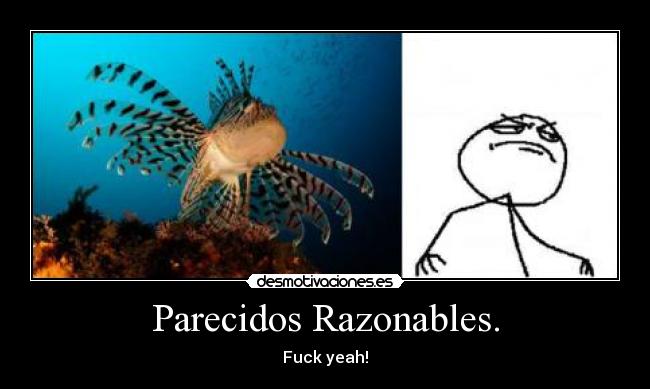 Parecidos Razonables. - Fuck yeah!