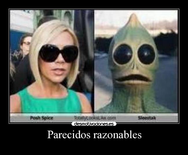 Parecidos razonables -